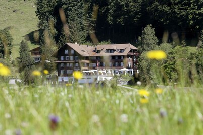 Hotel Hammer
