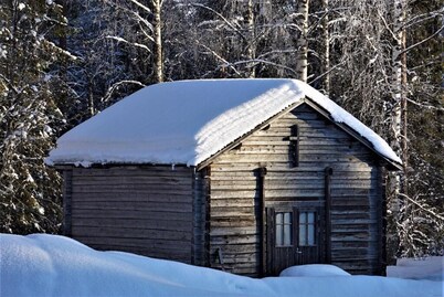 Old Pine Husky Lodge